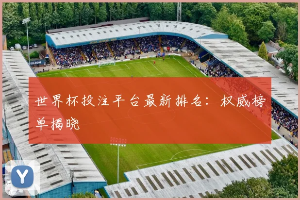 世界杯投注平台最新排名：权威榜单揭晓