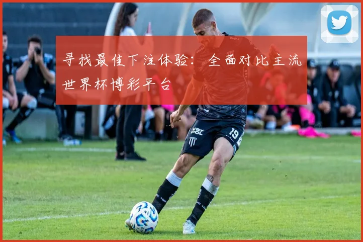 寻找最佳下注体验：全面对比主流世界杯博彩平台